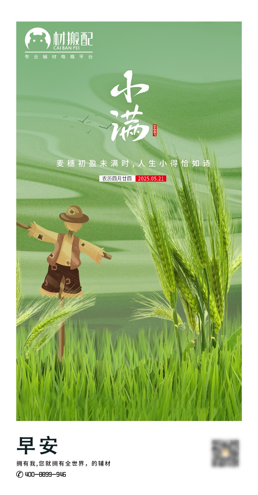 小满麦渐满，夏意日渐浓（普力斯道）